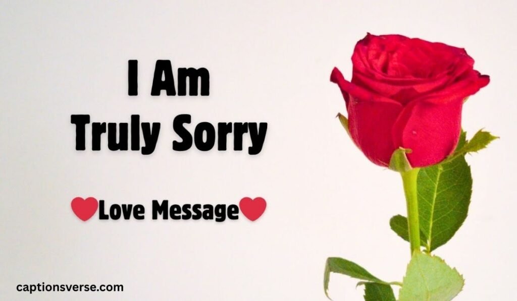 Apology Message for Him