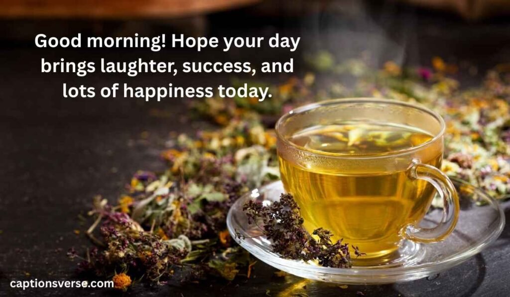 Good Morning Messages for Brother-in-Law