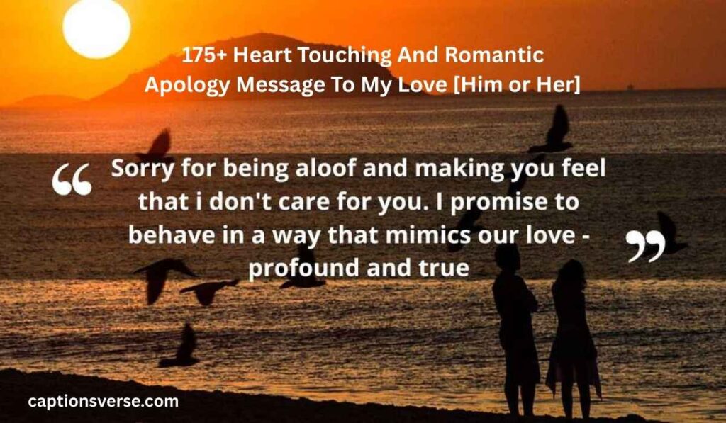 175+ Heart Touching And Romantic Apology Message To My Love [Him or Her]