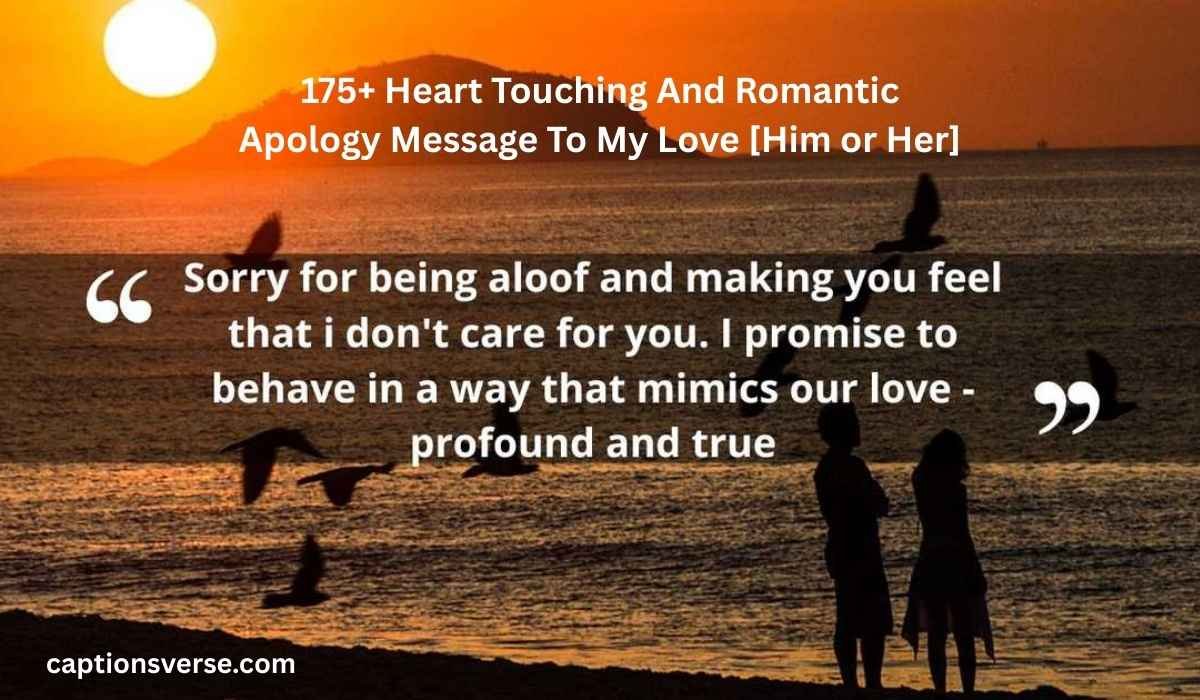 Romantic Apology Message To My Love