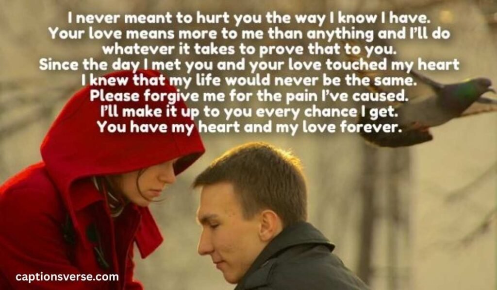 Romantic Apology Messages for Him/Her