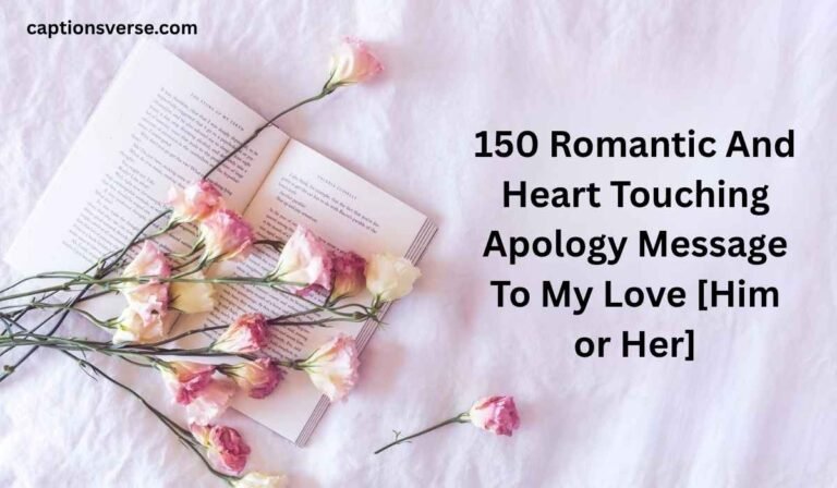Apology Message To My Love