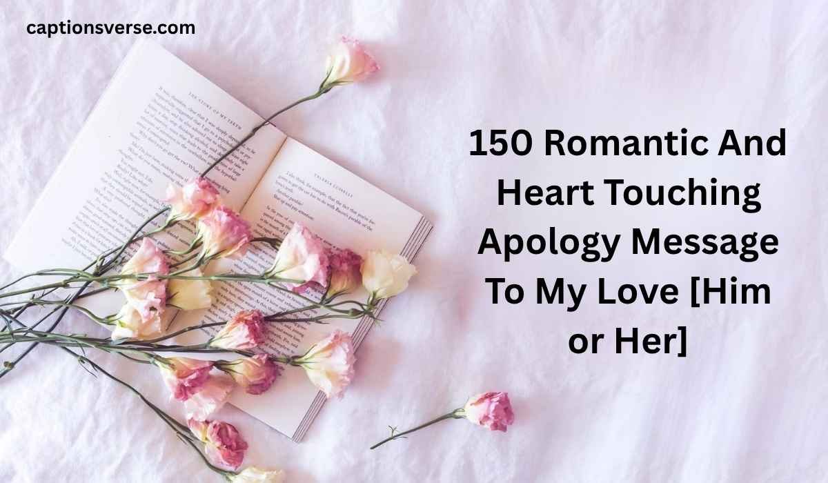 Apology Message To My Love