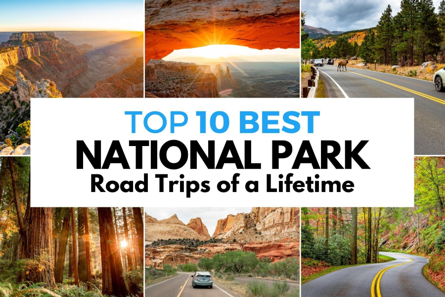 2 Week National Park Road Trip Map