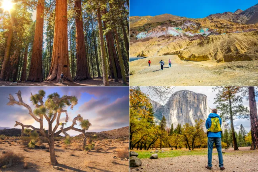 2 Week National Park Road Trip Map